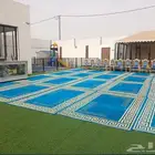 كراسي ملكي زل ملكي كل مايخص المناسبات بوابات افتتاح ليازر