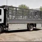 محتاج دينا للإيجار الشهري