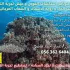 برنامج استكشاف الغوص