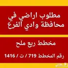 مطلوب أراضي للبيع وادي الفرع جنوب المدينة