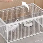 مصيدة فخ ذكي لصيد الطيور والحمام
