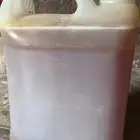 عسل سدر على الشرط