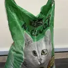 رمل قطط و اكل