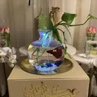 هدايا سمك فايتر