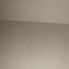 ابحث عن شقة صغيره ويكون اجارها معقول