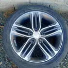 جنوط هواندي ازيرا للبيع2018