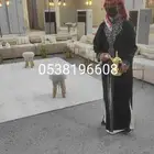 قهوجيين وصبابين