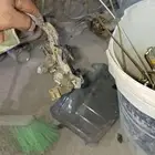 غفل باب  امري الفين واحد و ال  في تر يم