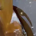 عسل سدرة الحجاز