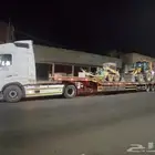 لوبد متواجد في الاسياح القصيم بريدة