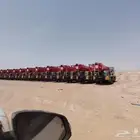 ايجار كرينات يومي شهري