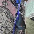 سياكل صينيه للبيع سياكل سباق