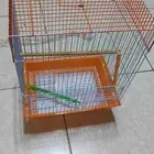 قفص طيور