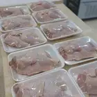دجاج مبرد طازج يوميا