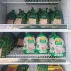 صفوة بلدي للدواجن