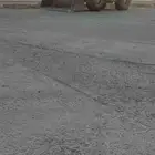شيول للايجار باليوميه