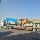 لوبد متواجد في القصيم بريده عنيزه المذنب الرس وماجاورها