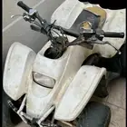 دباب سويدي