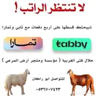 طليان العيد حريات وسواكن على تابي وتمارا