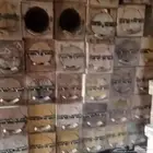 خلاياء نحل