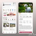 مصممة واجهات وتطبيقات محترفةUIUX -تصميم وتجربة مستخدم مميزة