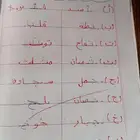 معلمه خصوصيه