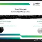 حضور دورة سماي