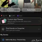 حسابات سناب شات ( متجر سناب شات)