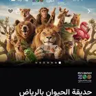 حديقه الحيوان اليوم الخميس