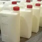 لبن بقر طازج