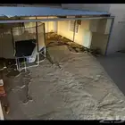 شينكو مظلة للبيع