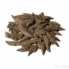 عود كمبودي تايقر - يجلس على المبخر فوق العشر دقايق