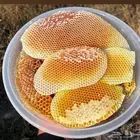 عسل سدر وسمره مضمون