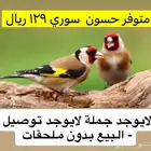 تم البيع