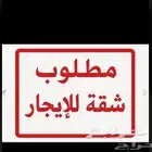 مطلوب شقه