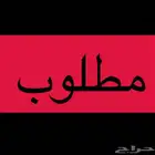 مطلوب شقة للإيجار