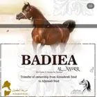 مهره مكس شو للبيع