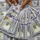 دولارات مزيفا حجم كبير حبتين ب 10 ريال