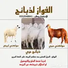 ذبايح بجوده وسعار مرضيه للجميع