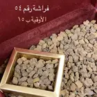 عود العلياء
