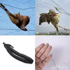 شبكة صيد طيور