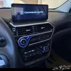 للبيع شانجان السفن فل كامل وكالة