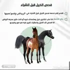 خدمه فحص الخيل قبل الشراء