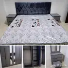 سراير و مراتب أنواع جديد