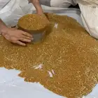 بذور برسيم درجه اولى بلدي