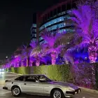 زد فورسيت او توسيت موديل 79او 80مطلوب وسعر معقول من