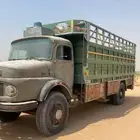 صندوق عايدي بوز
