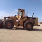 سايق شيول وبكائه