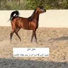 ابن غيث الزبير متاح للتشبيه