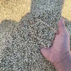 للبيع شعير سداسي حب طيب انتاج 2025